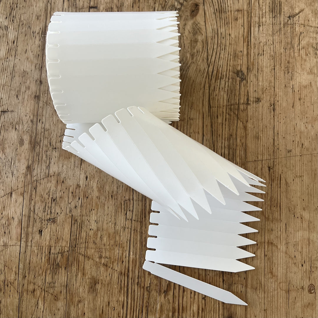 5" x 9/16" White Pot Stake